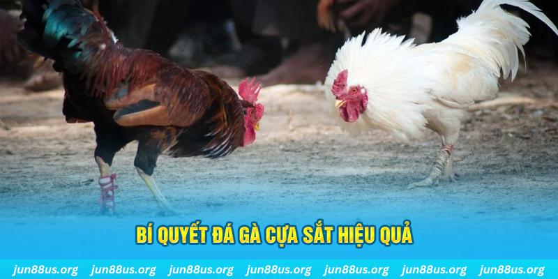 daga 88 nổ hũ may mắn