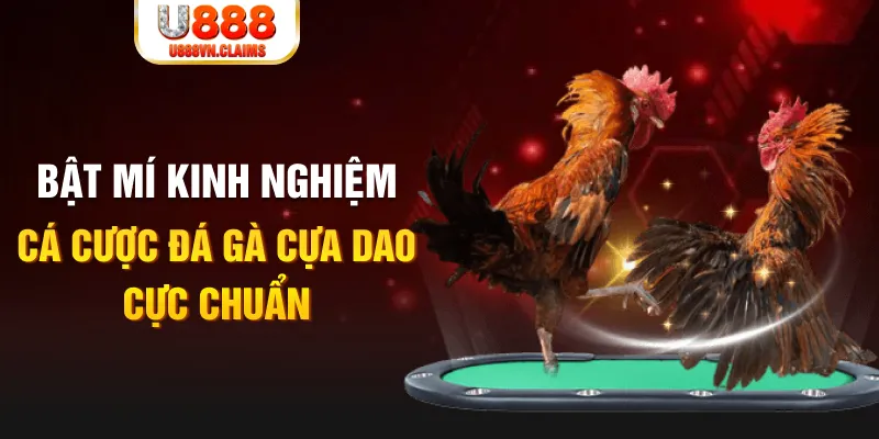 daga 88 casino hồ tràm có cho người việt vào không
