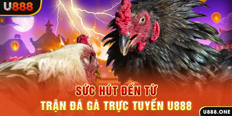 daga 88 đăng nhập poker 2024