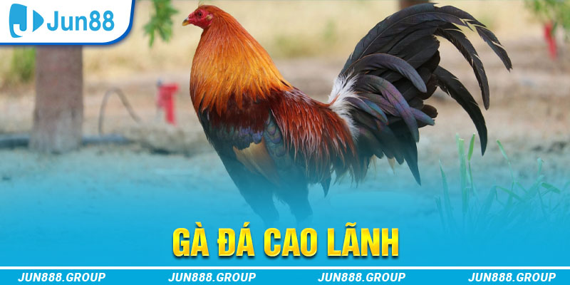 daga 88 tai game vua bai ve may tinh