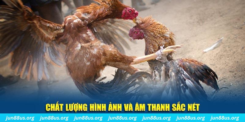 daga 88 tai game danh bai mien phi ve may tinh