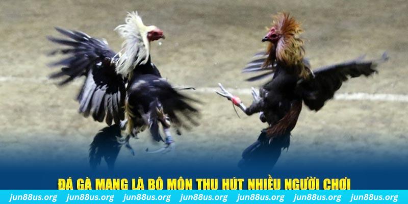 daga 88 đăng nhập sòng bạc số 1
