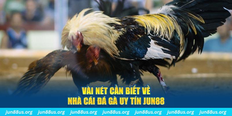 daga 88 Jones Chuối