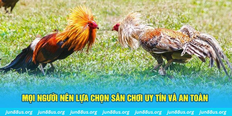 daga 88 đăng nhập poker 2025