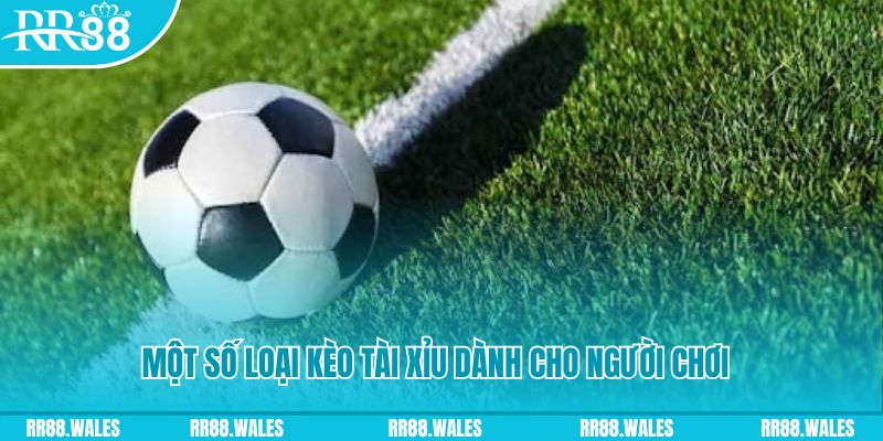 daga 88 slot nghĩa là gì