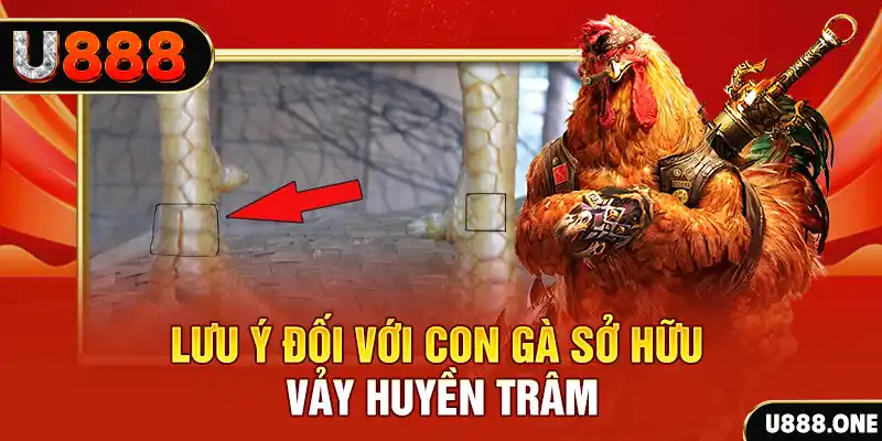 daga 88 tải game đánh bài tiến lên miền nam về máy tính