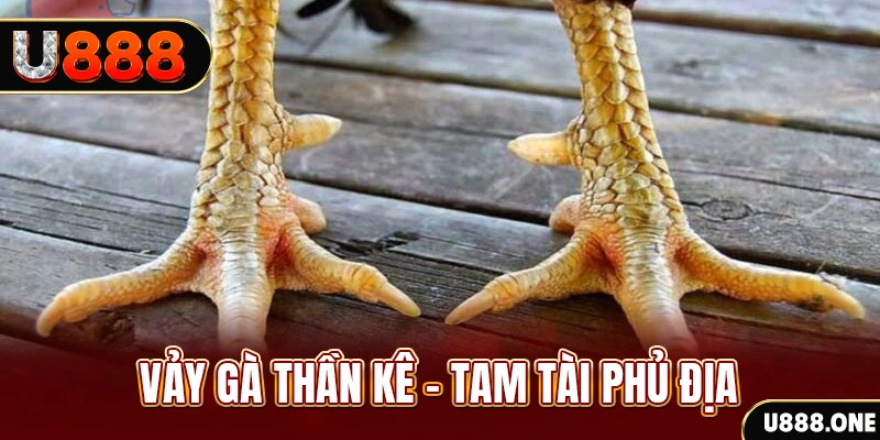daga 88 so xo mien trung