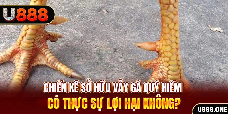 daga 88 xổ số miền trung