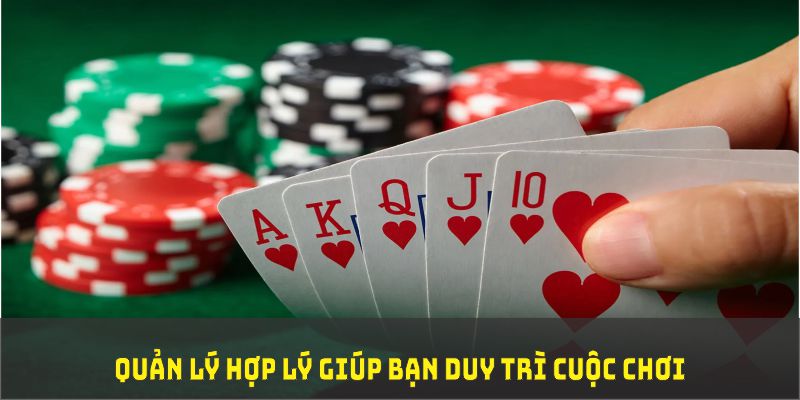 daga 88 đá gà trực tiếp thomo 67