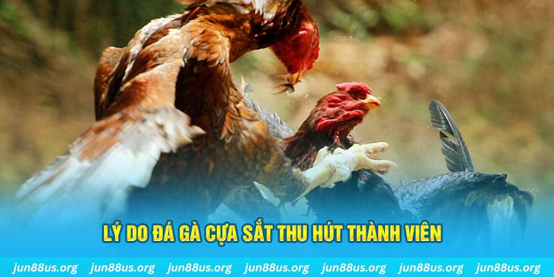 daga 88 nổ hũ ăn bao nhiêu