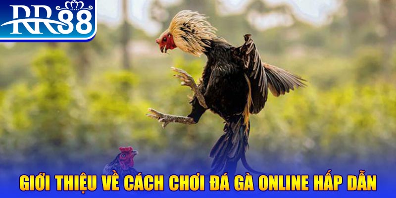daga 88 EvoPlay Điện Tử