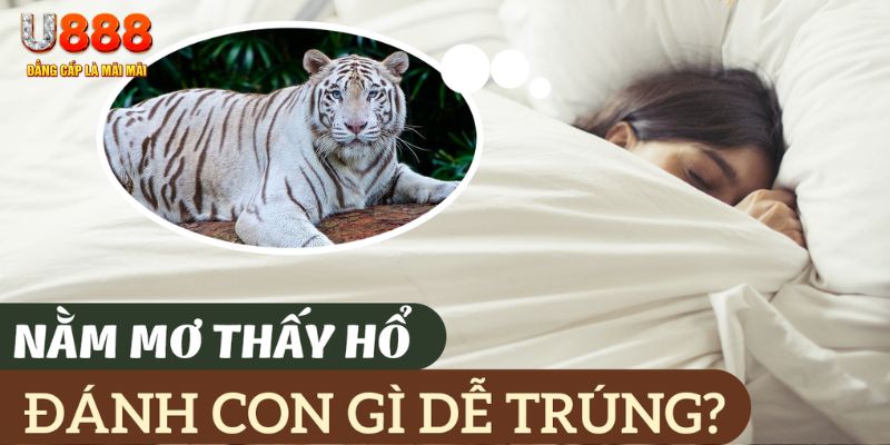 daga 88 nohu .mx nổ hủ là gì