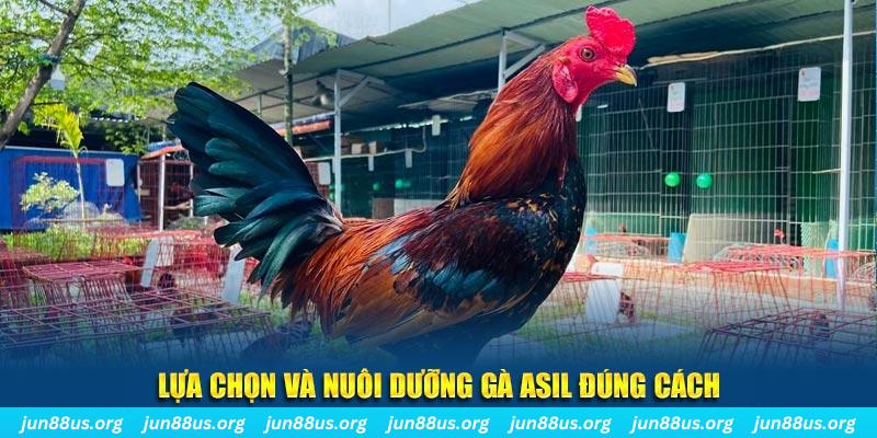 daga 88 nổ hũ thần tài là gì