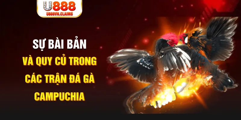 daga 88 game xếp bài trên máy tính
