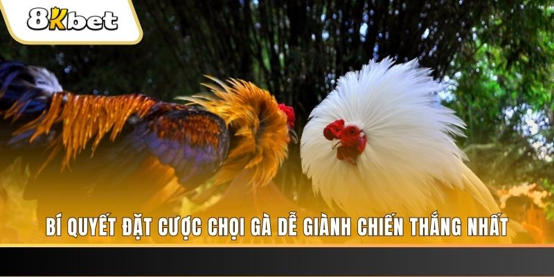 daga 88 nổ hũ chơi như thế nào