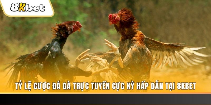 daga 88 xổ số miền bắc chủ nhật