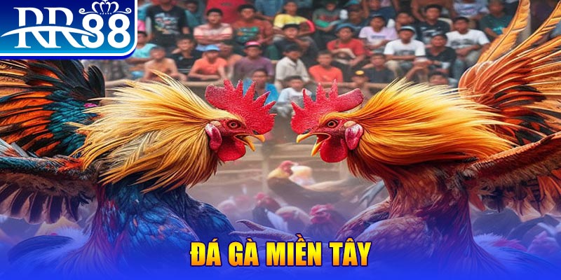 daga 88 đăng nhập liêng đổi thưởng