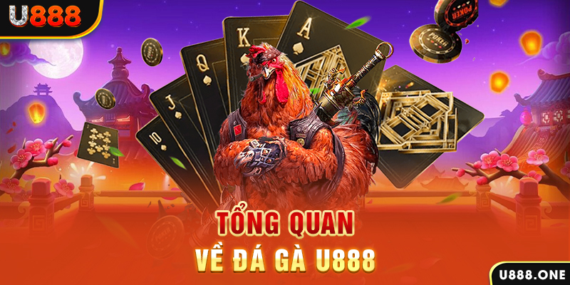 daga 88 xổ số vietlott