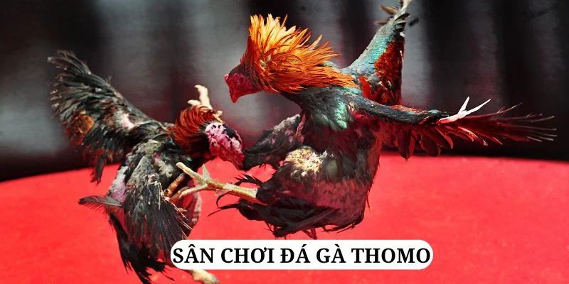 daga 88 quay nổ hũ là gì